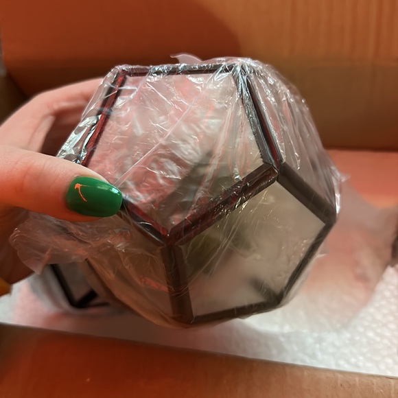 plant decor - Picture 4 of 5